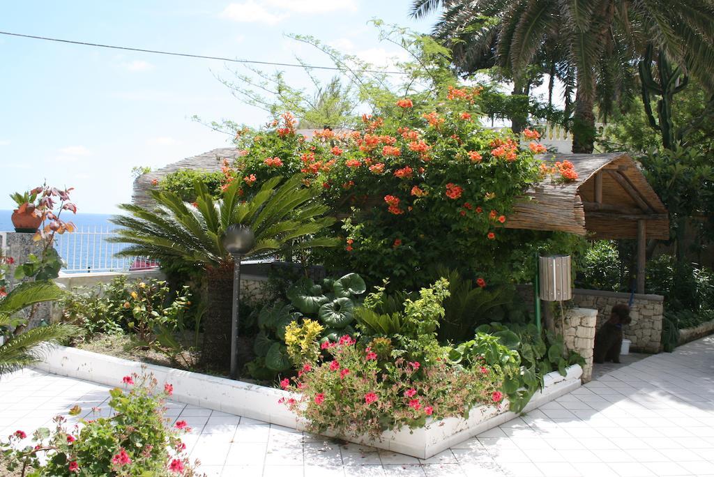 Hotel Villa Bina Sant'Angelo  Εξωτερικό φωτογραφία