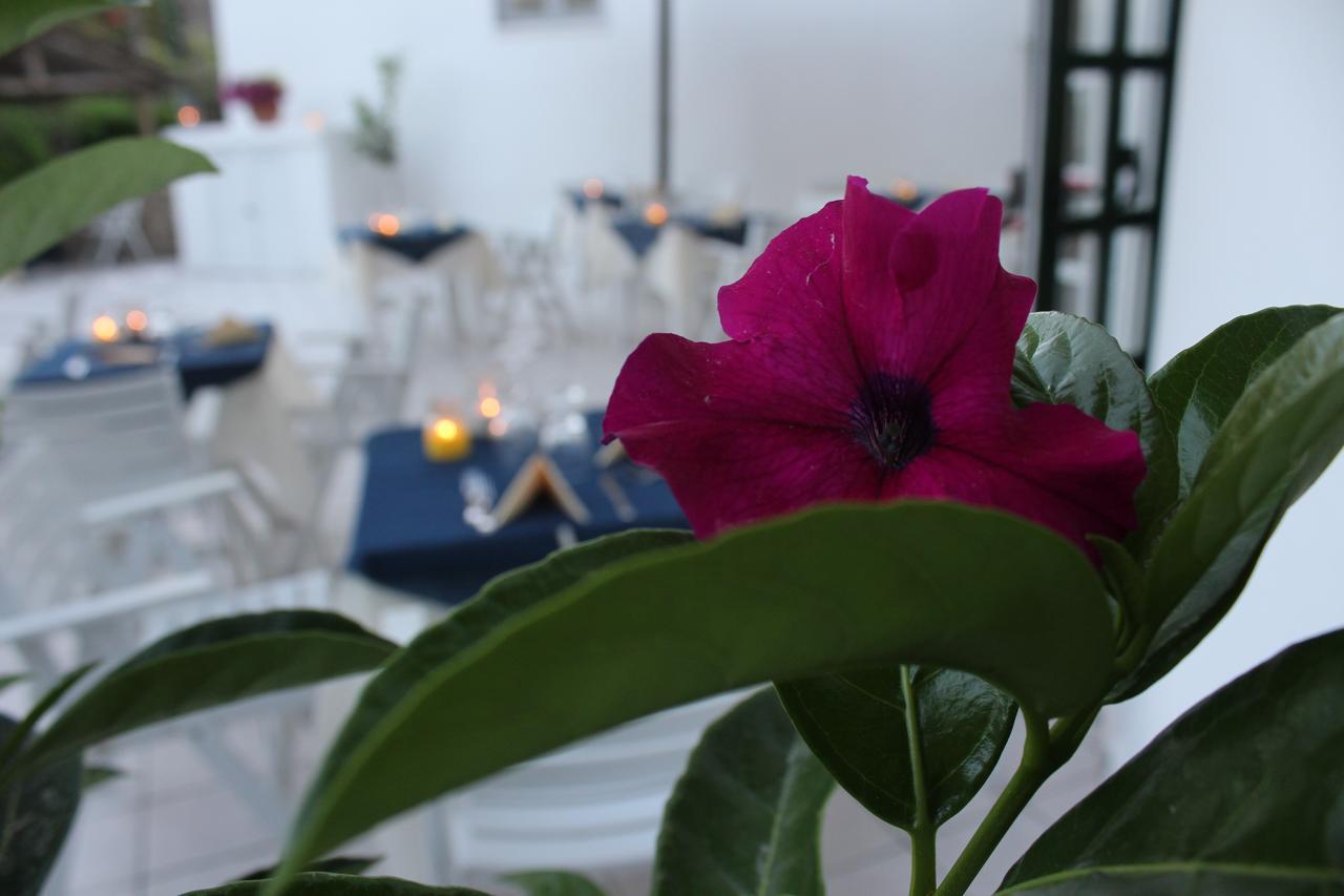 Hotel Villa Bina Sant'Angelo  Εξωτερικό φωτογραφία