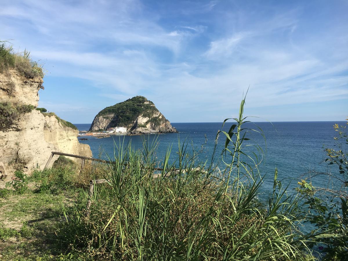 Hotel Villa Bina Sant'Angelo  Εξωτερικό φωτογραφία