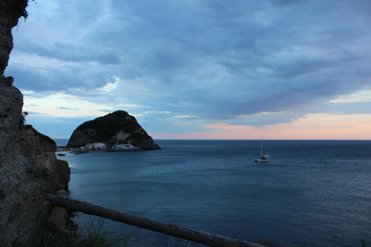 Hotel Villa Bina Sant'Angelo  Εξωτερικό φωτογραφία